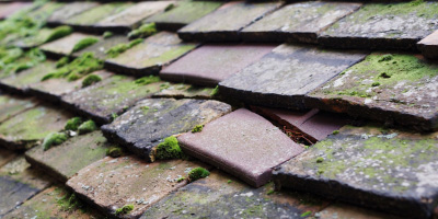 Little Gransden roof repair costs